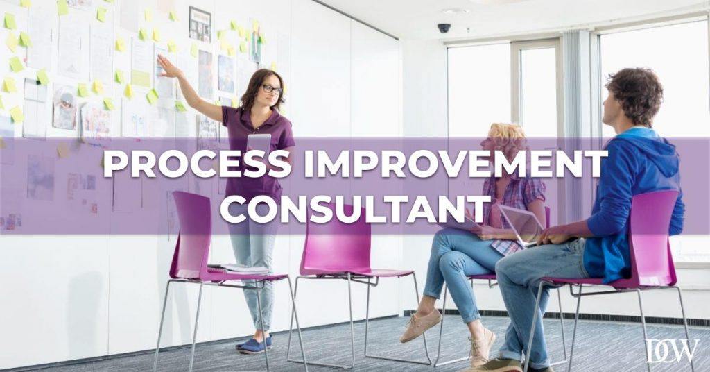 Business Process Improvement Consultant